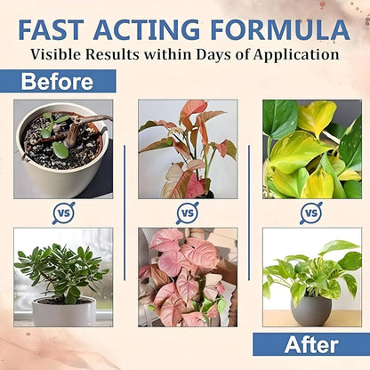 8896